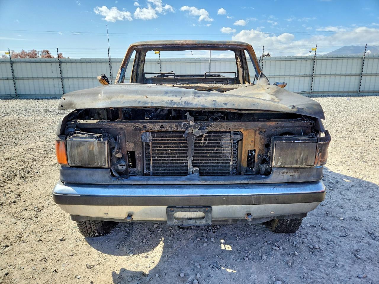 1990 Ford F150 - Фото 5