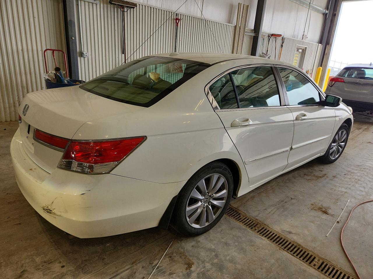 2011 Honda Accord Exl - Image 3