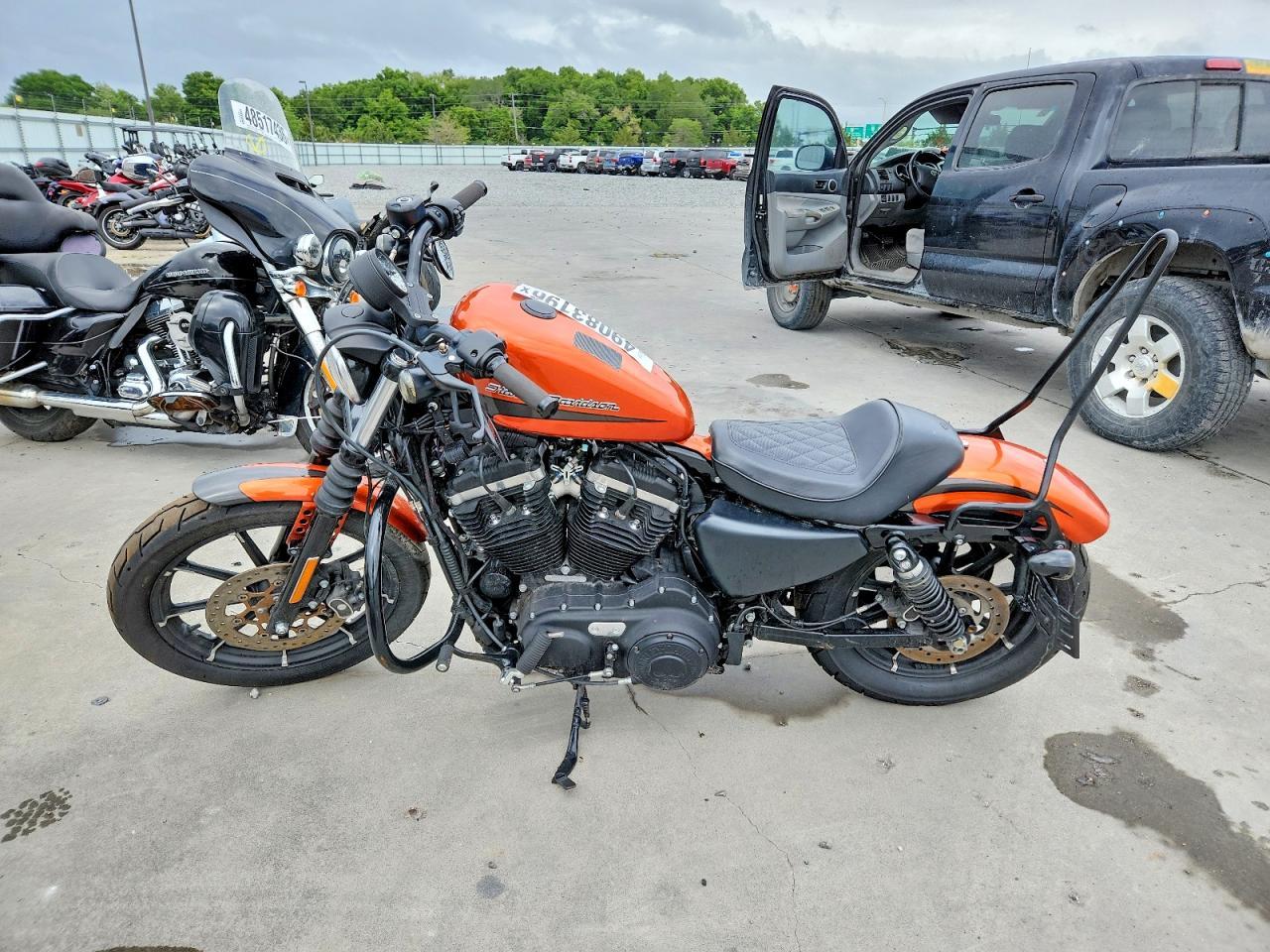 2020 Harley-Davidson Xl883 N - Фото 3