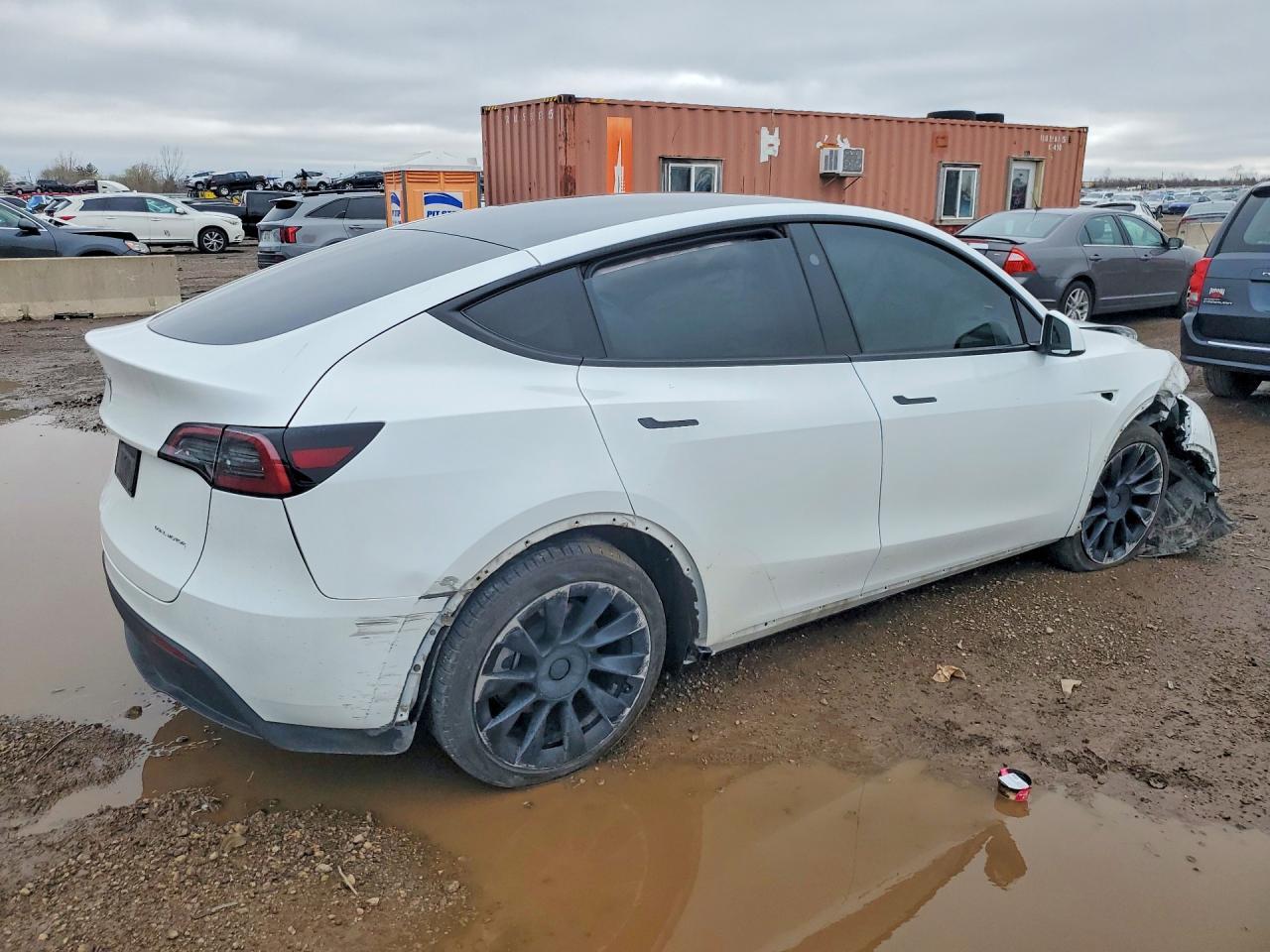 2023 Tesla Model Y - Фото 3