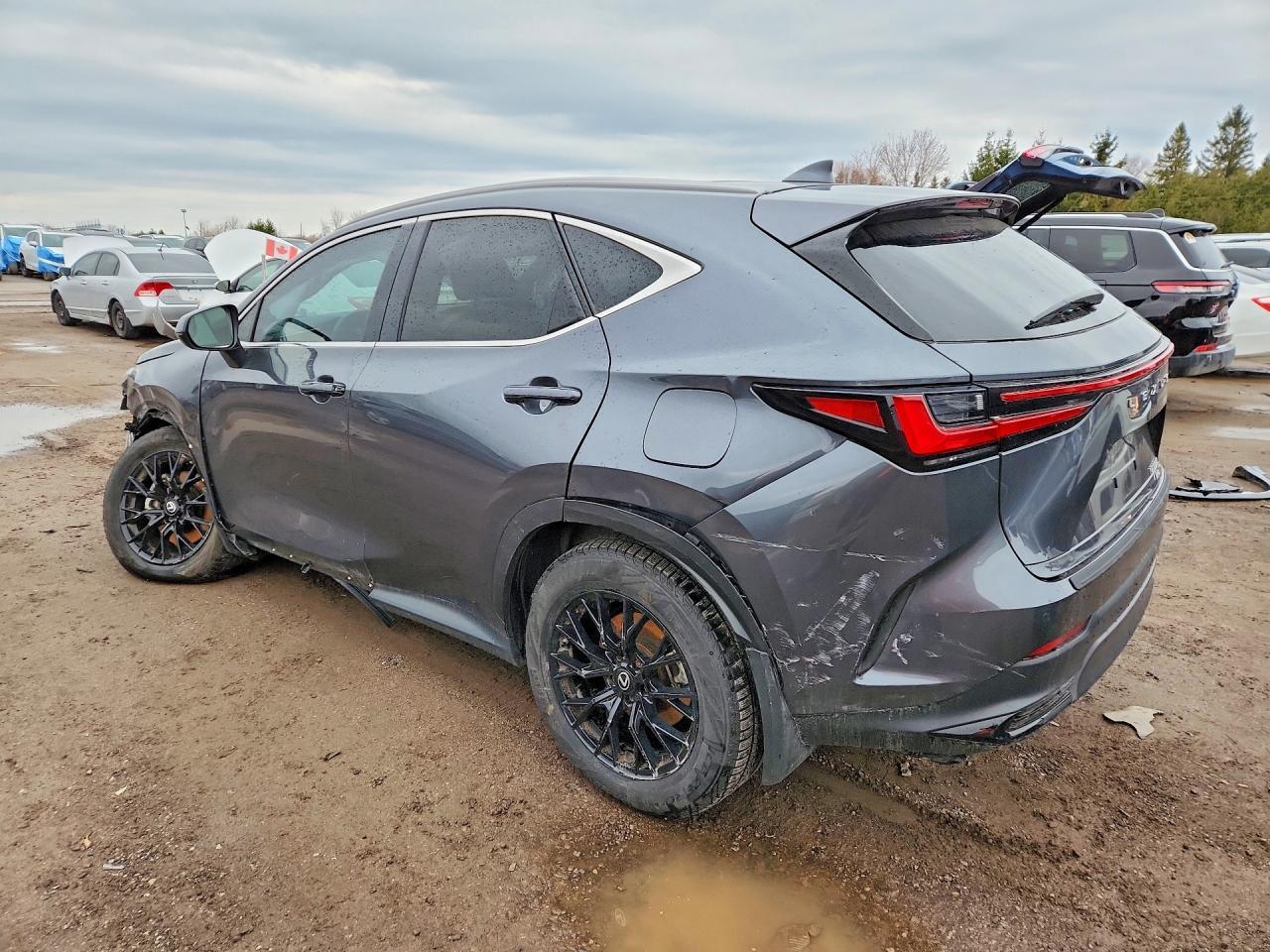 2025 Lexus Nx 350H Premium - Image 2