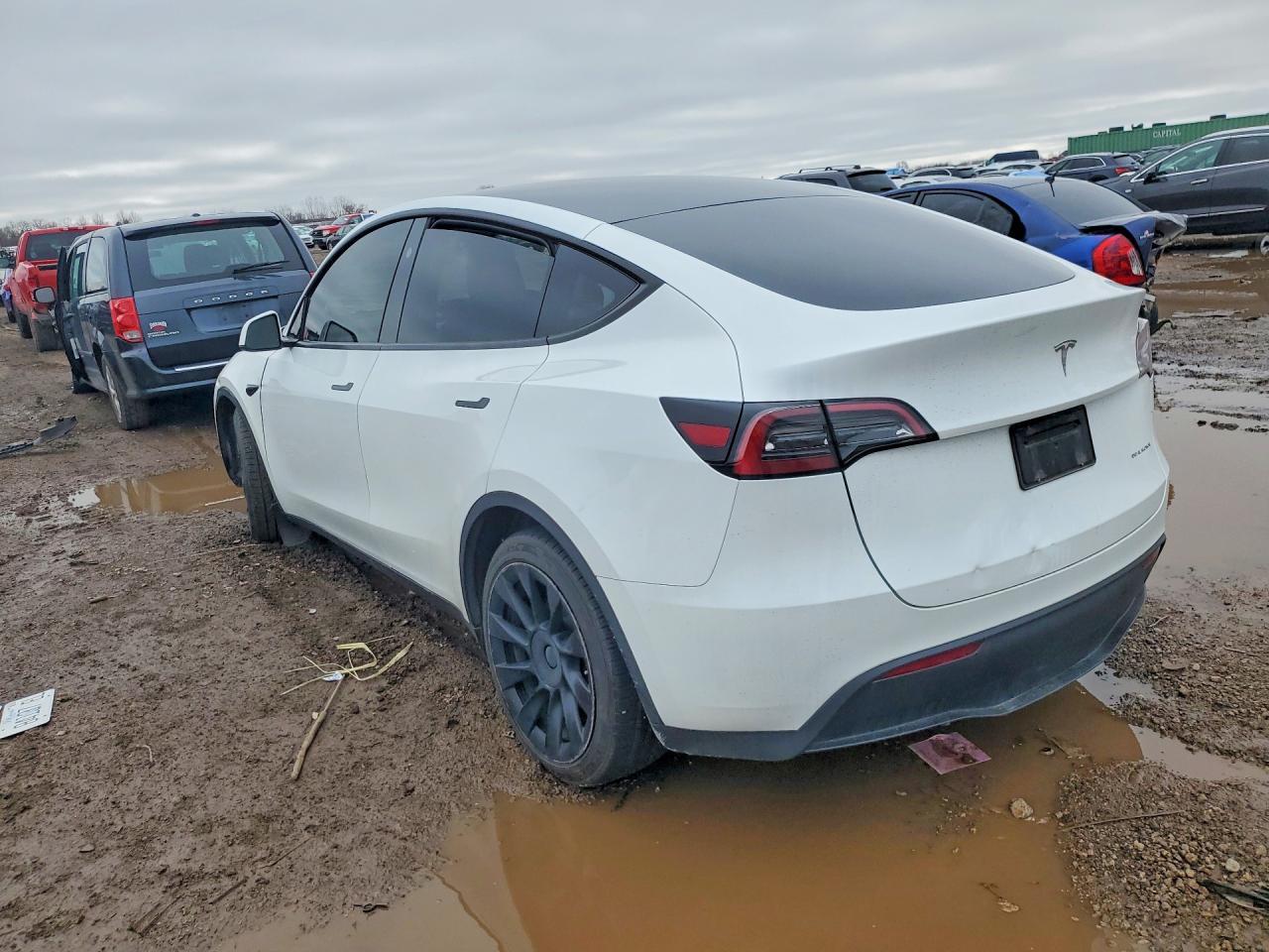 2023 Tesla Model Y - Фото 2