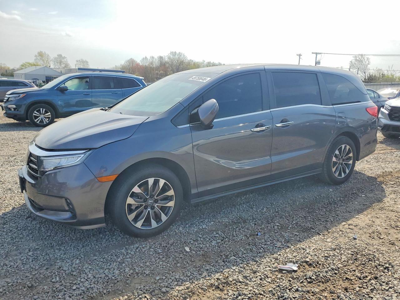 2023 Honda Odyssey Exl