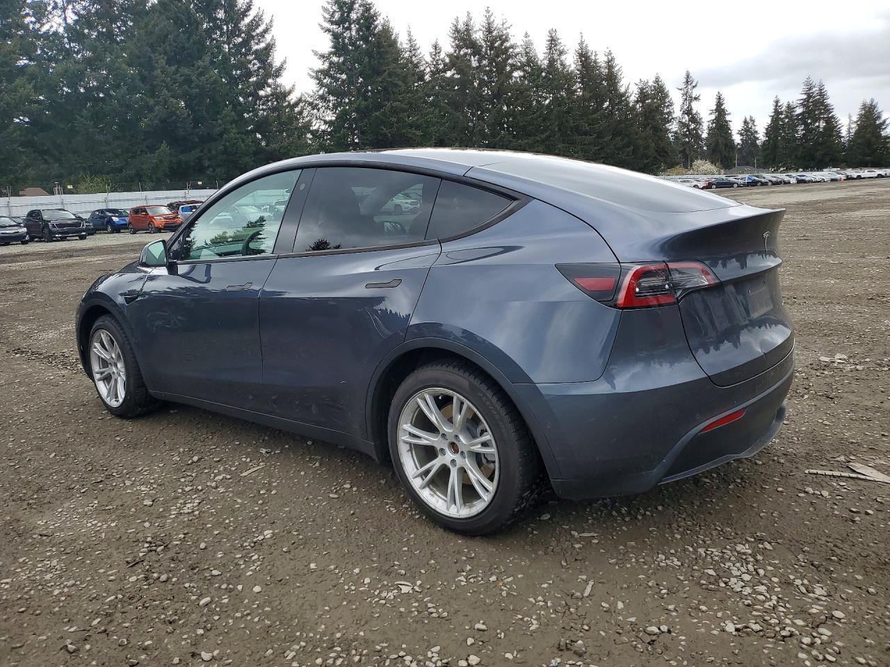 2022 Tesla Model Y - Фото 2