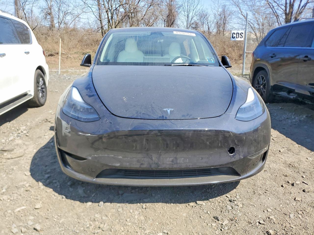 2025 Tesla Model Y - Image 5
