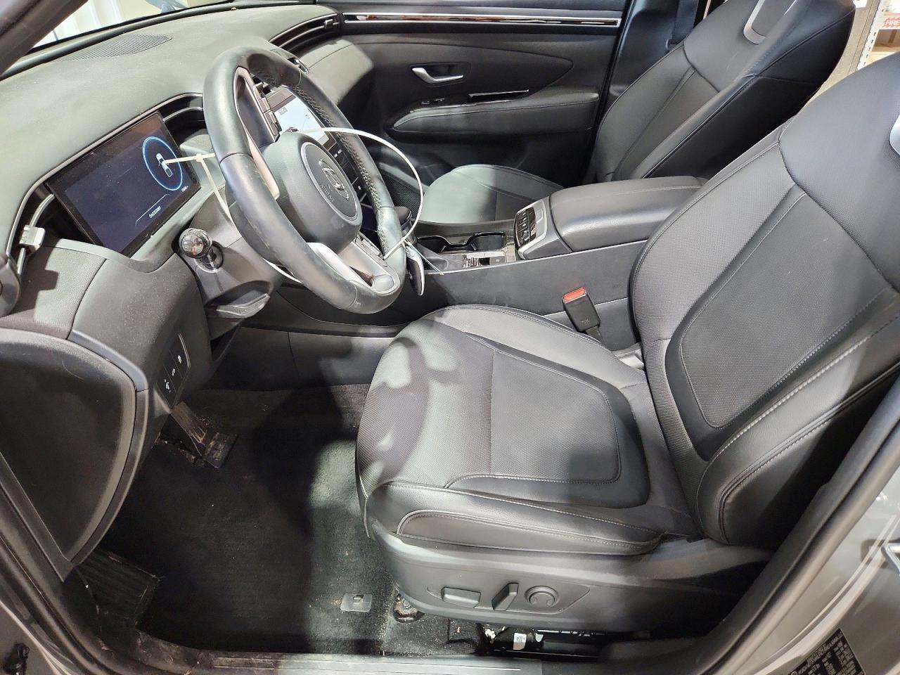 2024 Hyundai Santa Cruz Limited - Image 7