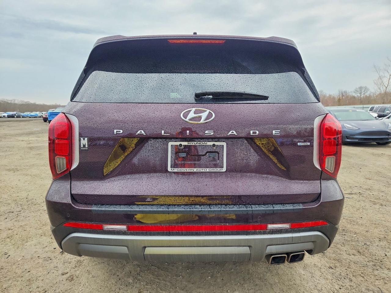 2024 Hyundai Palisade Sel - Фото 6