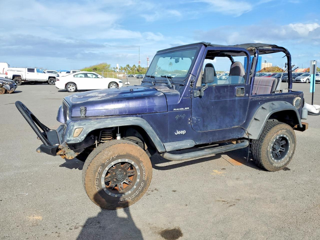1998 Jeep Wrangler / Tj Se