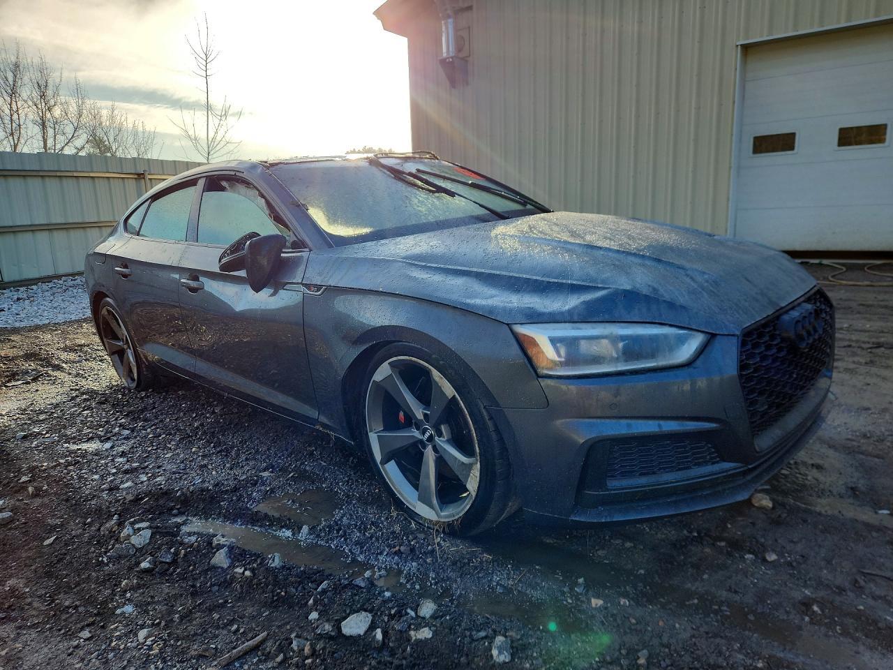 2019 Audi S5 Premium Plus - Фото 4