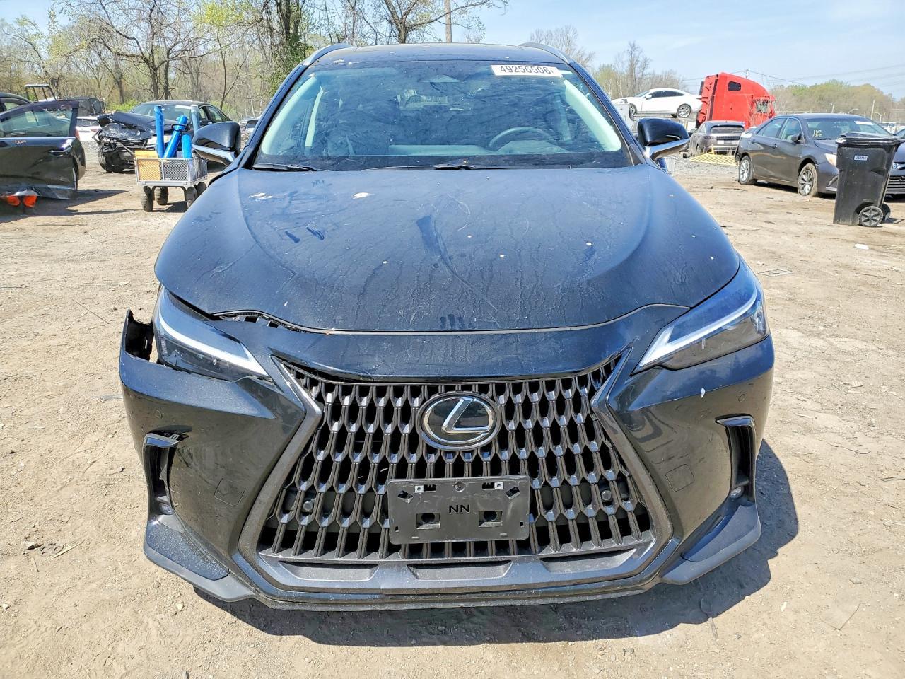 2026 Lexus Nx 350H Premium - Фото 5