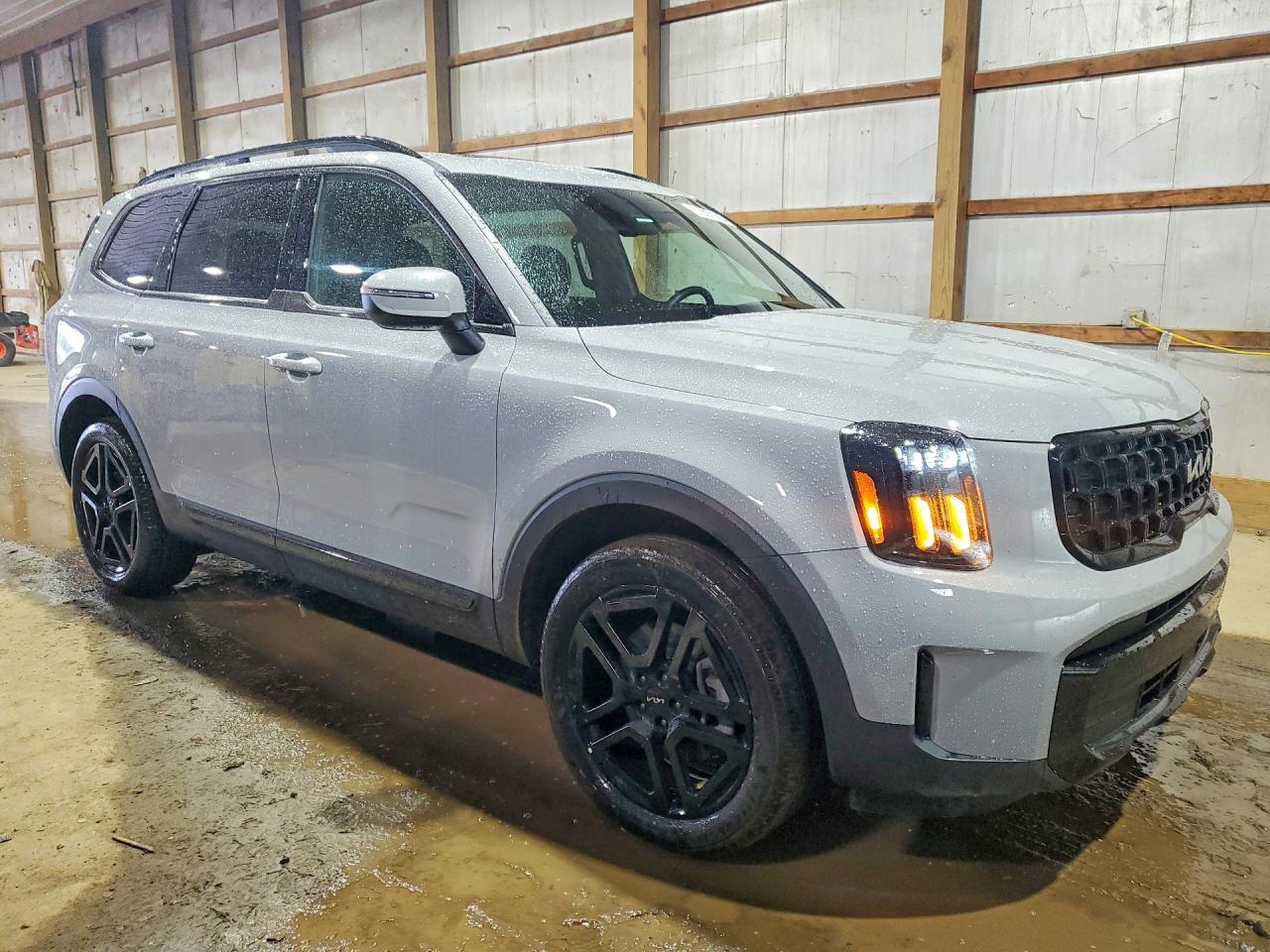 2024 Kia Telluride Ex X-Line - Фото 4