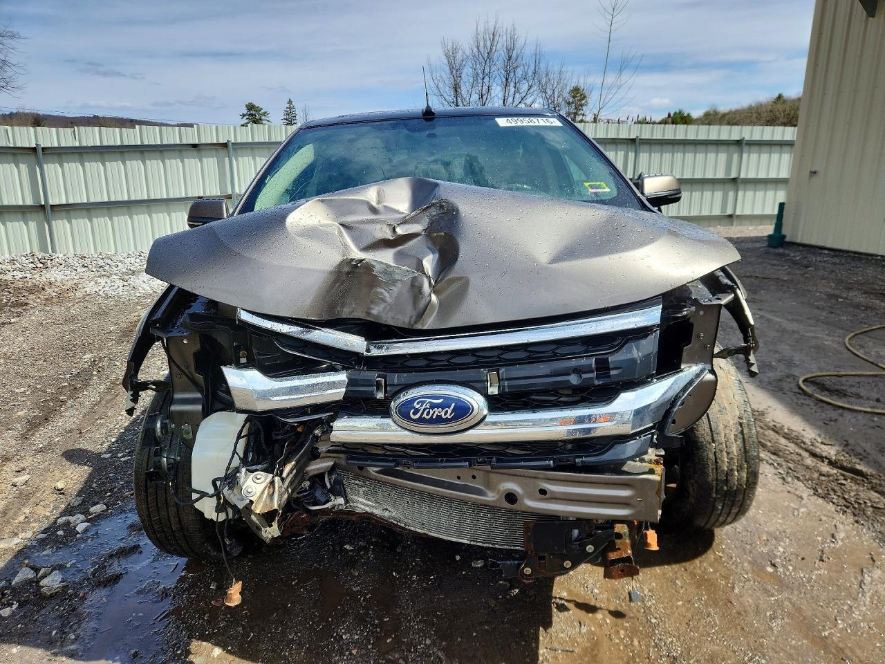 2014 Ford Edge Limited - Фото 5