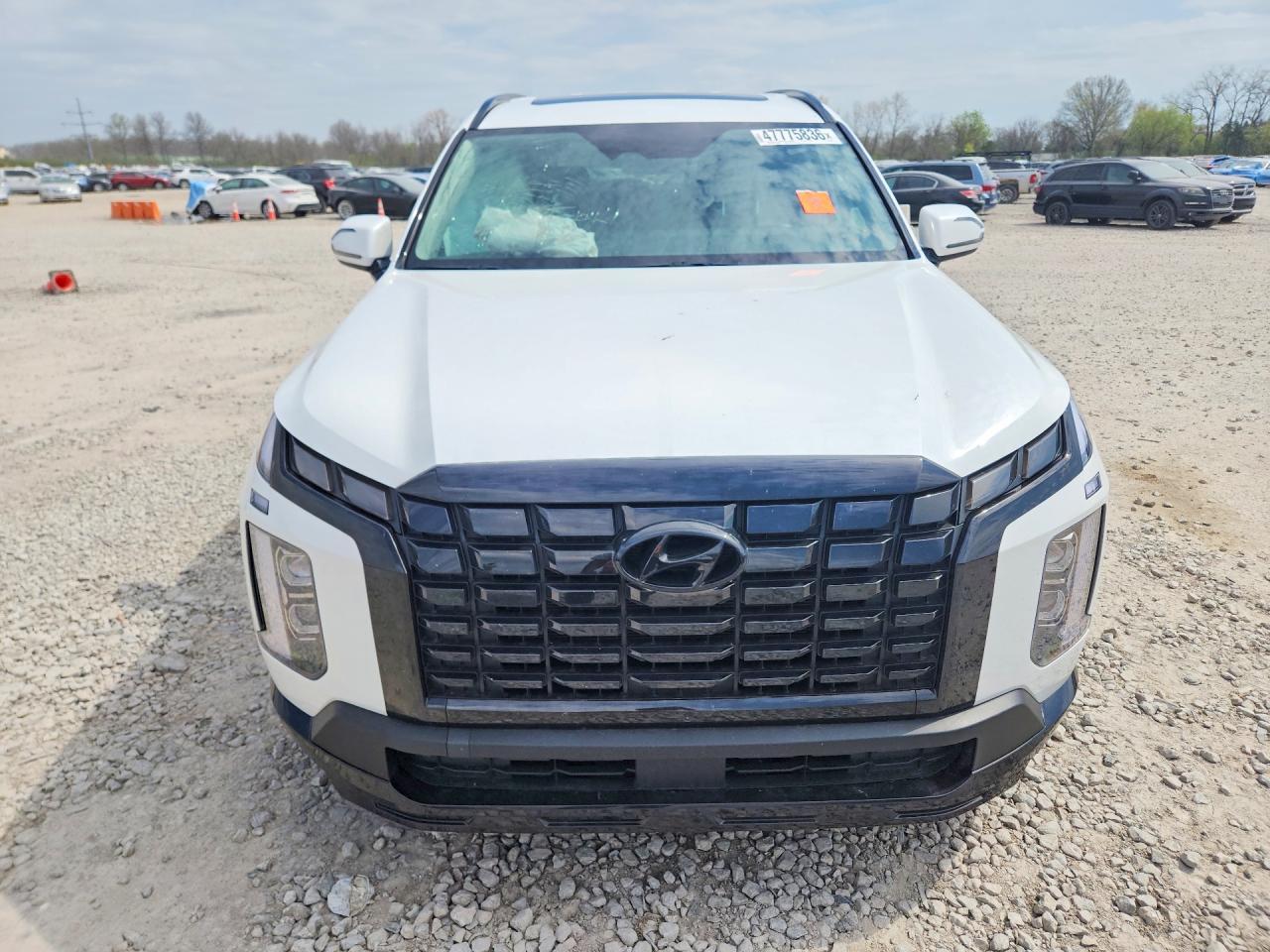 2024 Hyundai Palisade Xrt - Фото 5