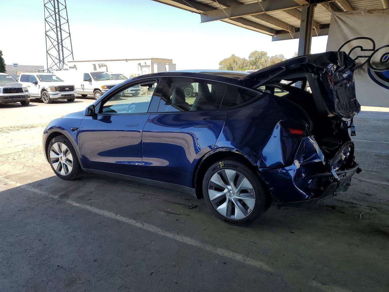 2023 Tesla Model Y - Фото 2