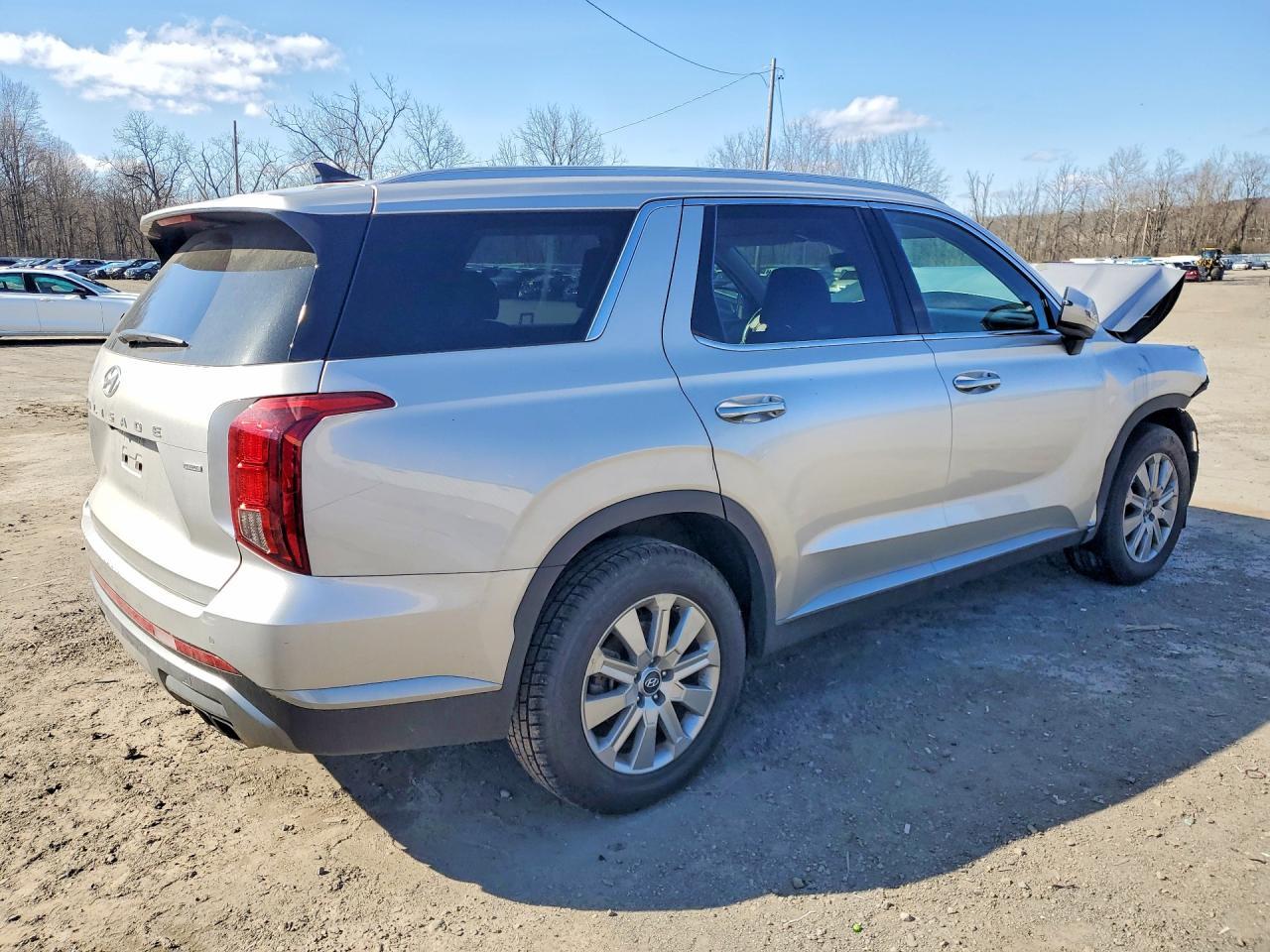 2025 Hyundai Palisade Sel - Фото 3