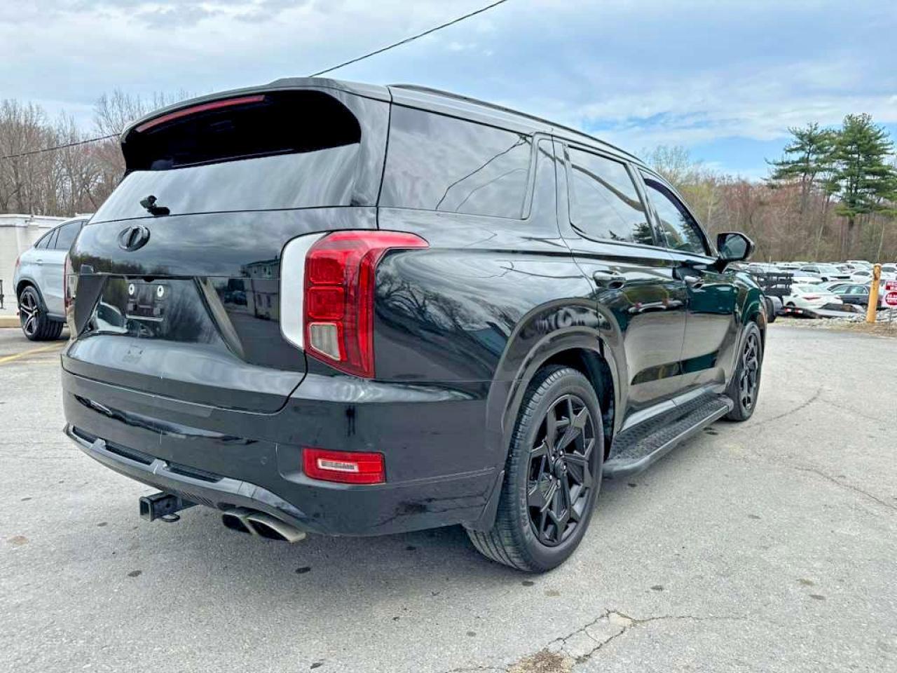 2021 Hyundai Palisade Calligraphy - Фото 3