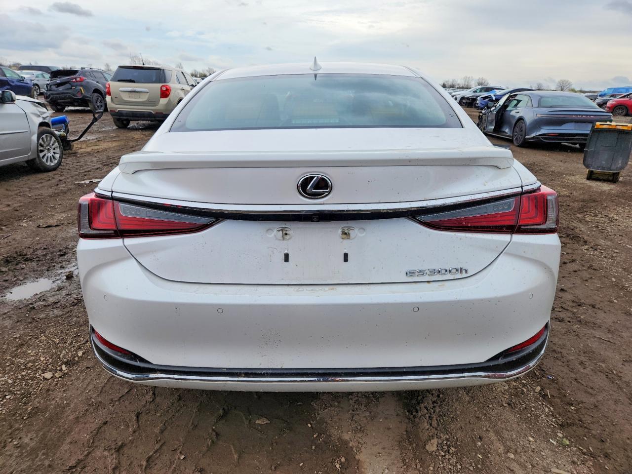 2024 Lexus Es 300H Base - Фото 6