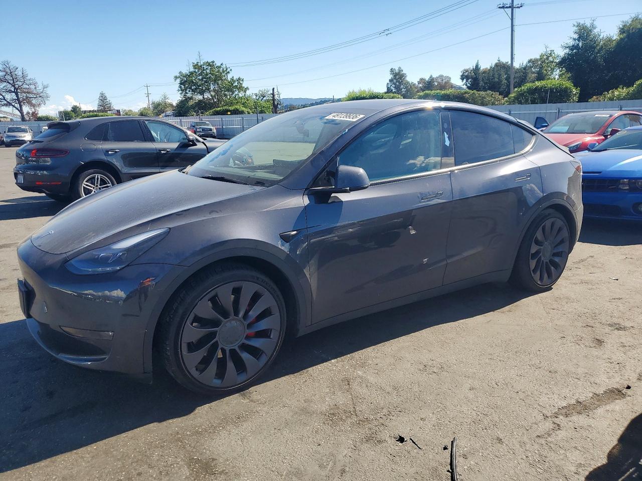 2024 Tesla Model Y