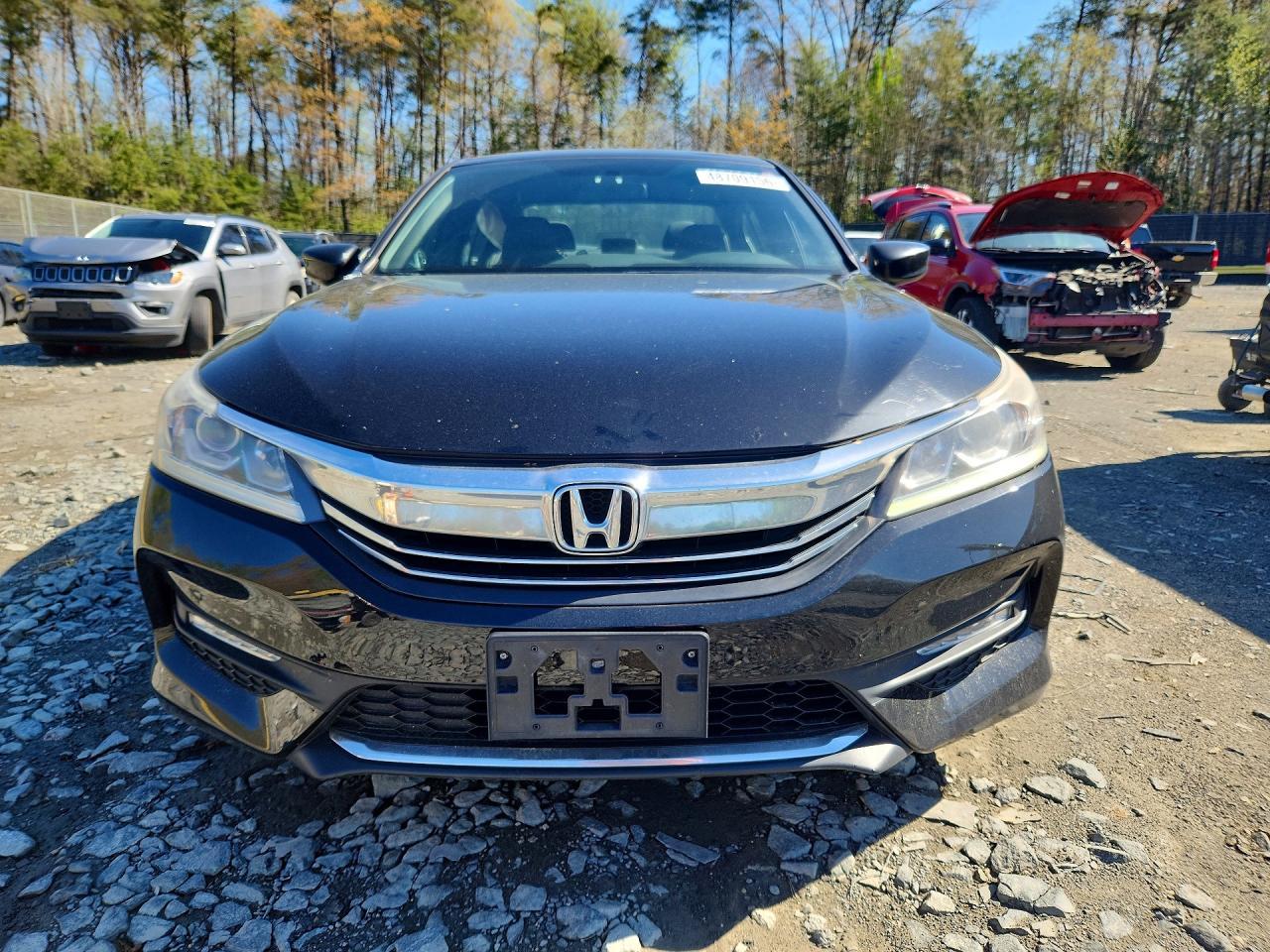 2017 Honda Accord Sport Special Edition - Фото 5