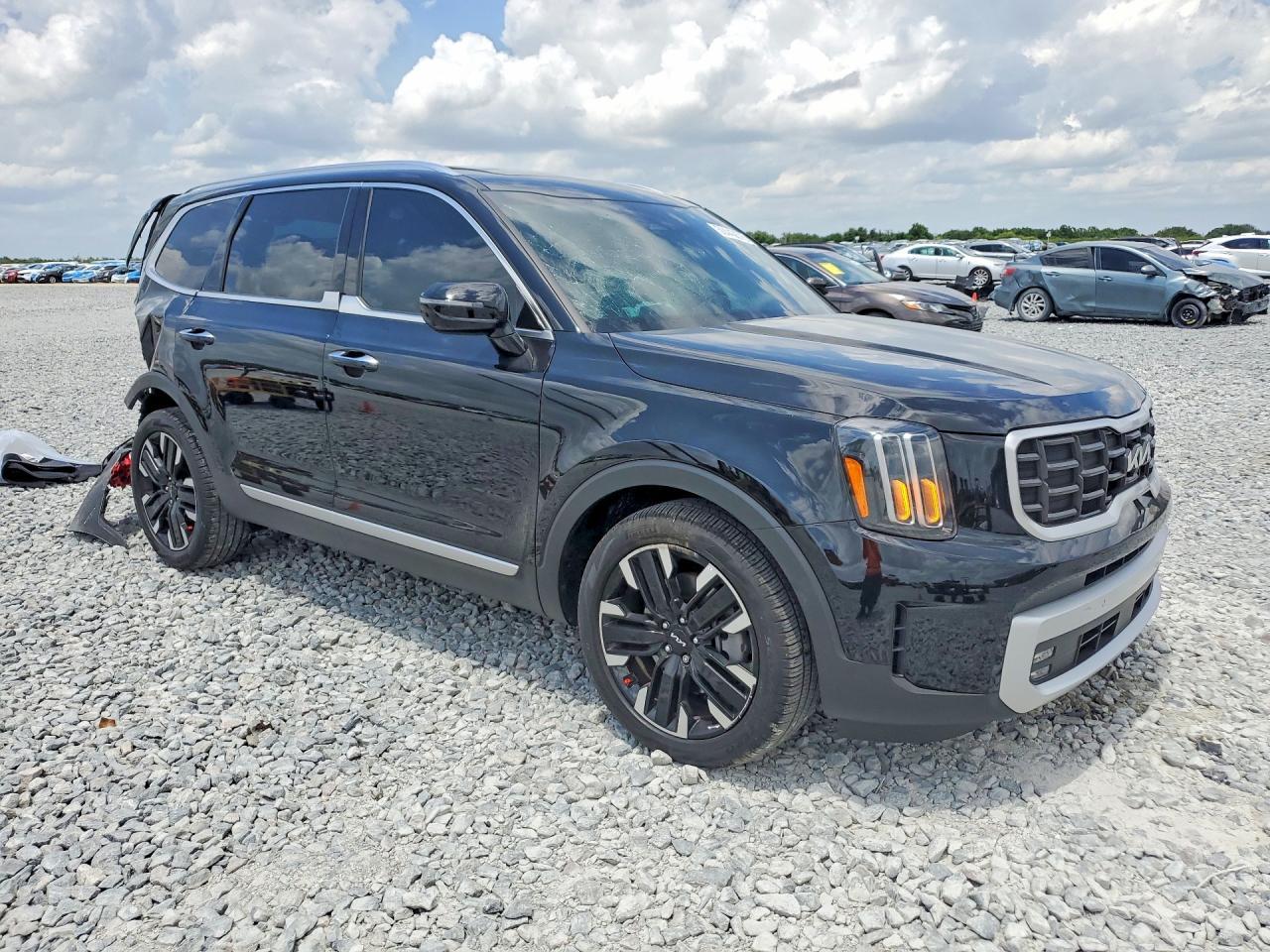 2025 Kia Telluride Sx - Image 4
