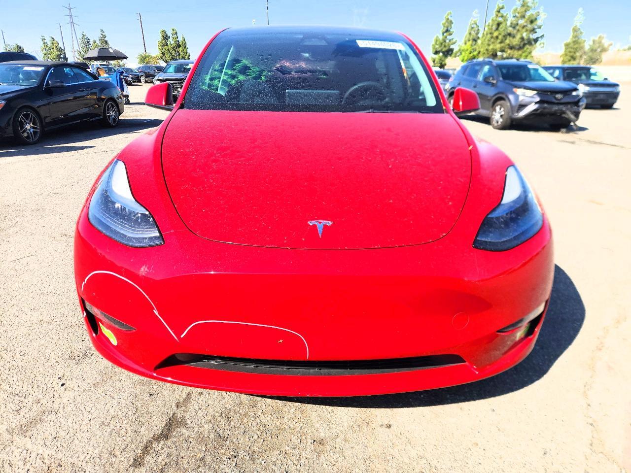 2023 Tesla Model Y - Image 5