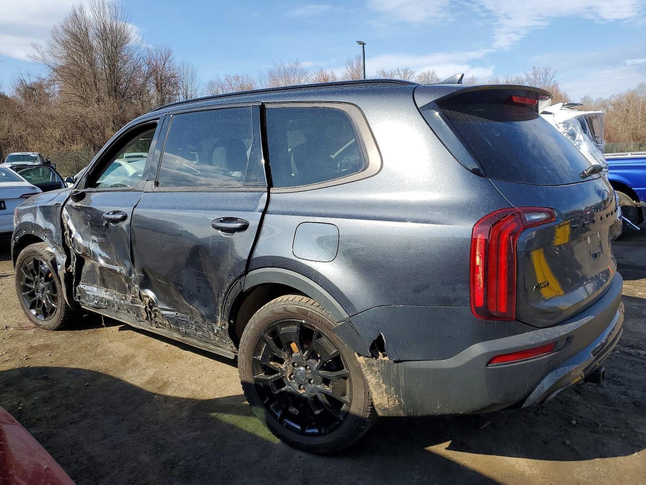 2021 Kia Telluride Sx - Фото 2