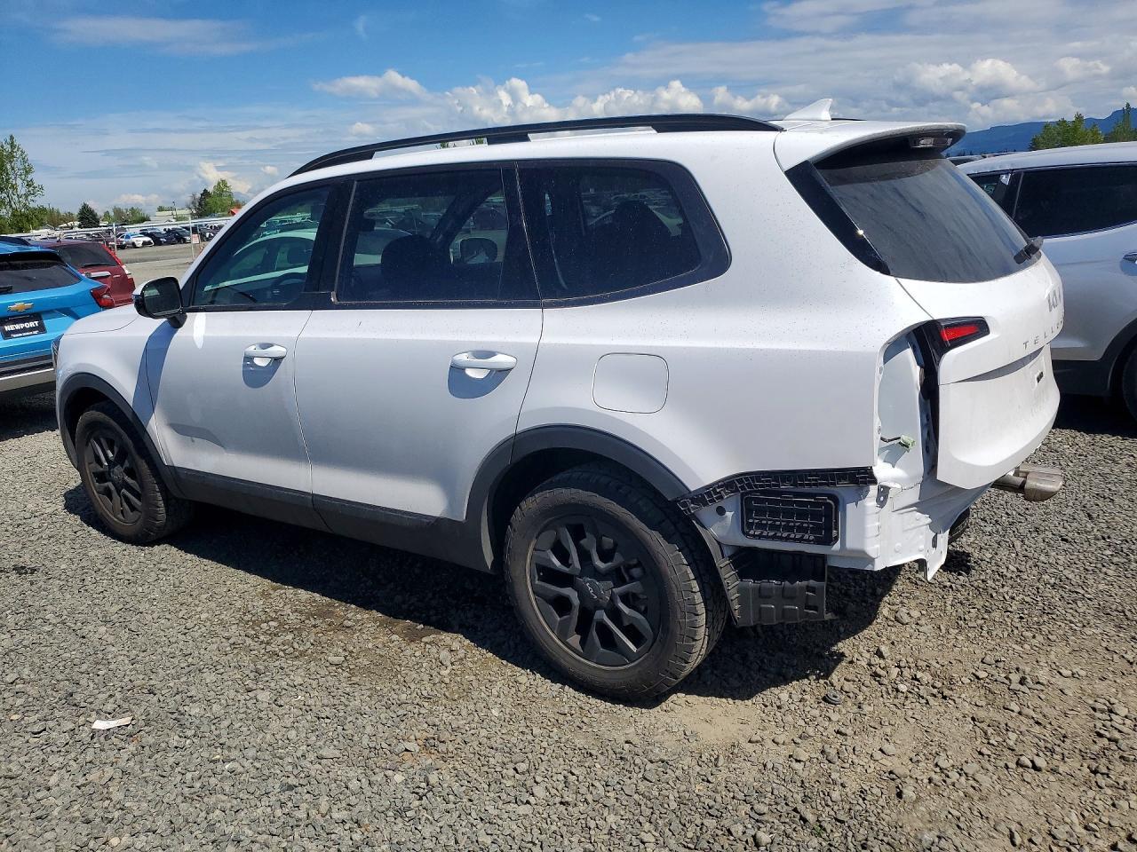 2024 Kia Telluride Sx-Prestige X-Pro - Фото 2