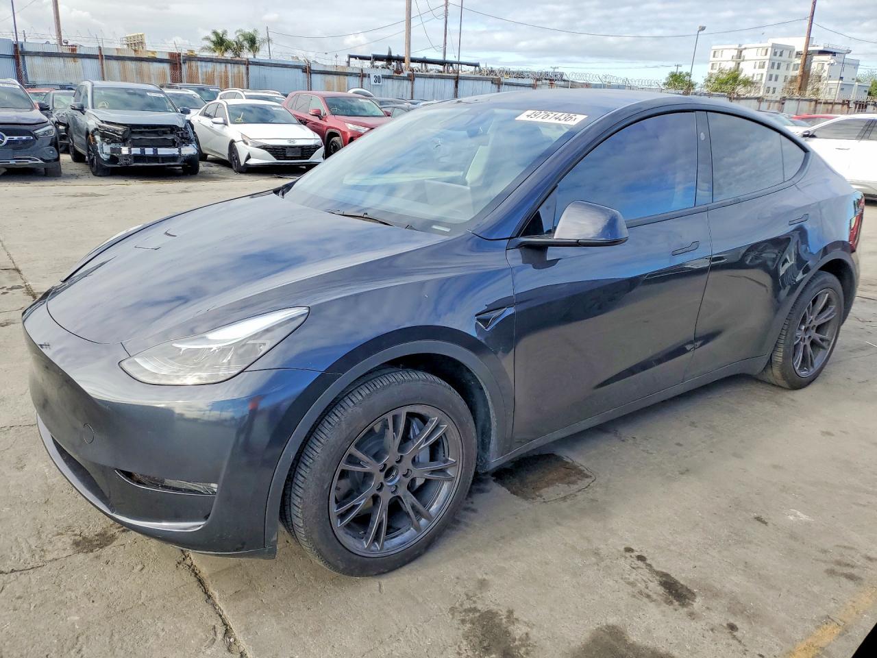 2025 Tesla Model Y
