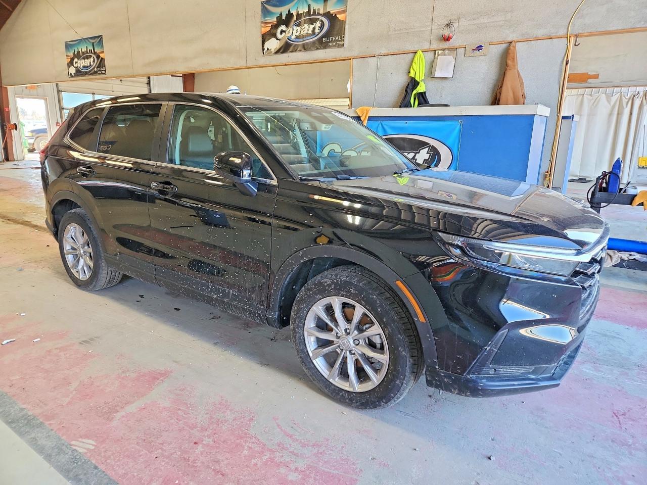 2024 Honda Cr-V Exl - Фото 4