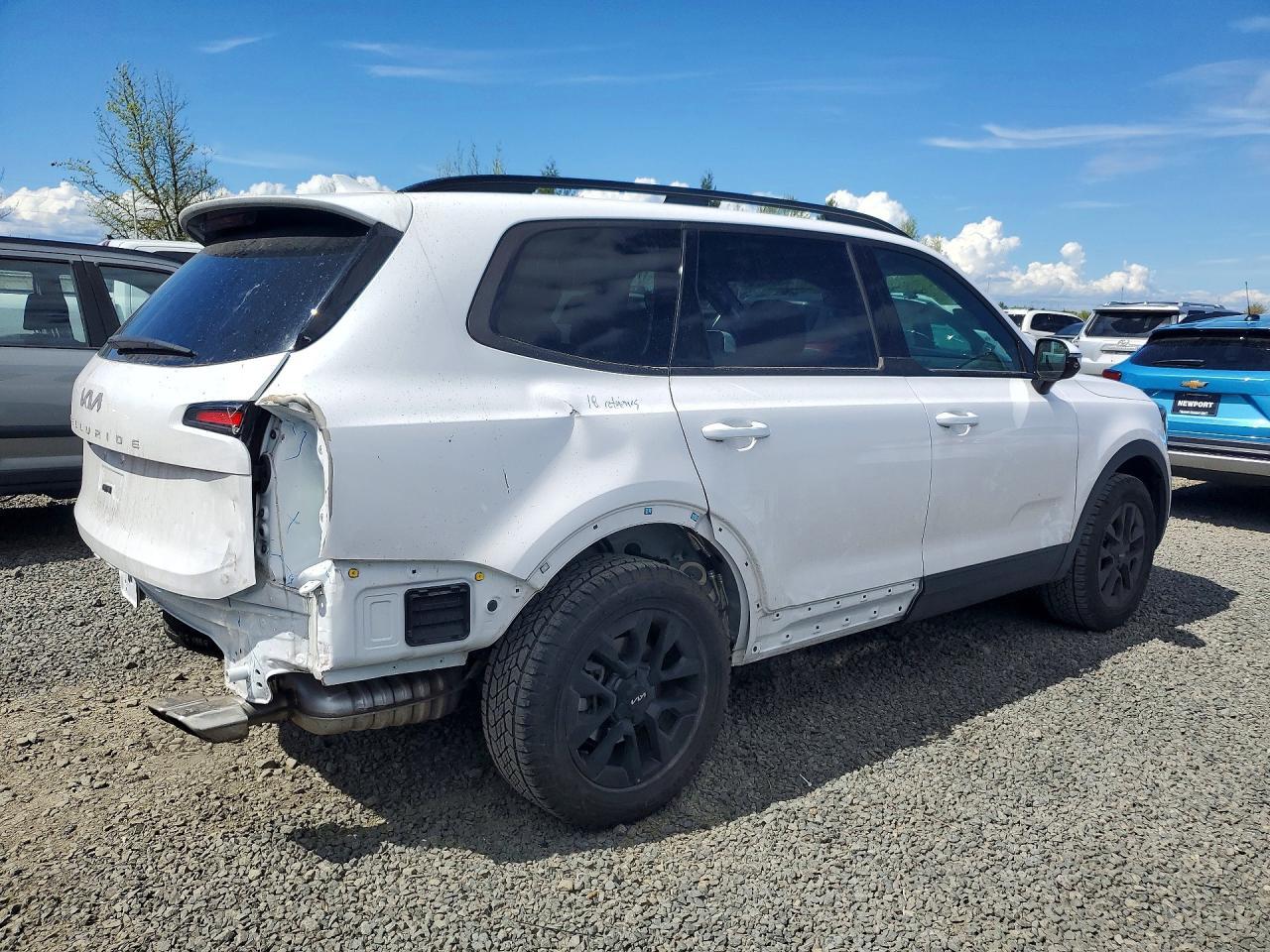 2024 Kia Telluride Sx-Prestige X-Pro - Фото 3