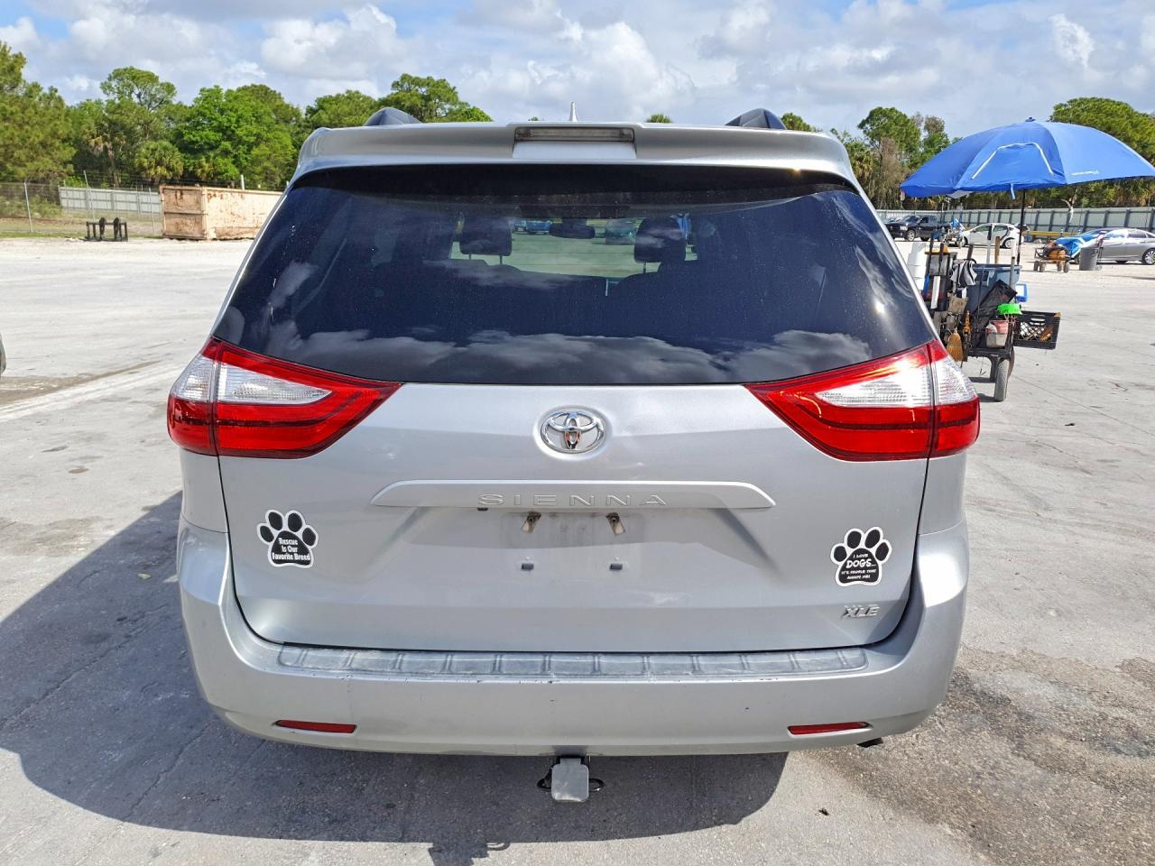 2019 Toyota Sienna Xle 8-Passenger - Фото 6
