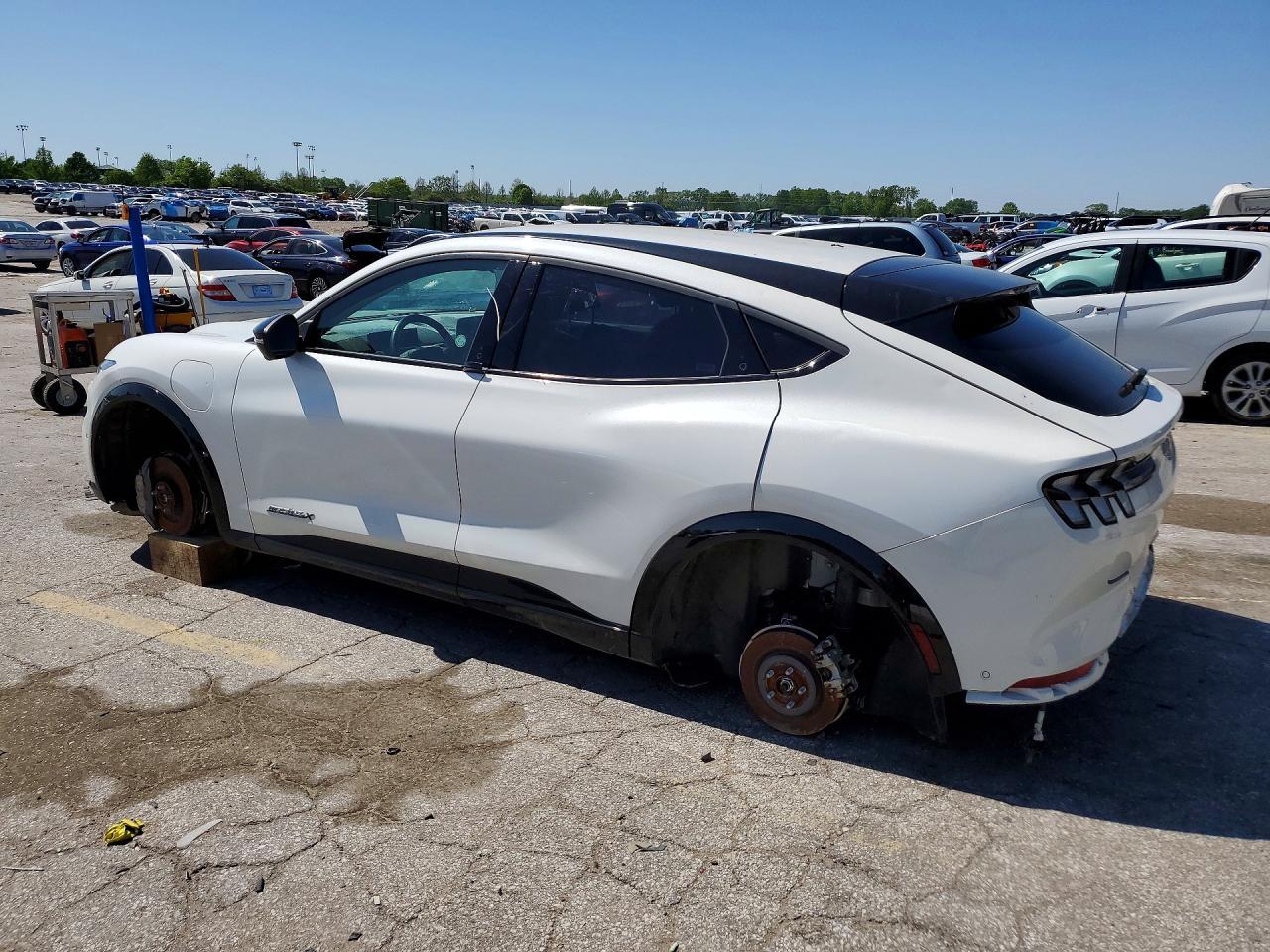 2024 Ford Mustang Mach-E - Фото 2