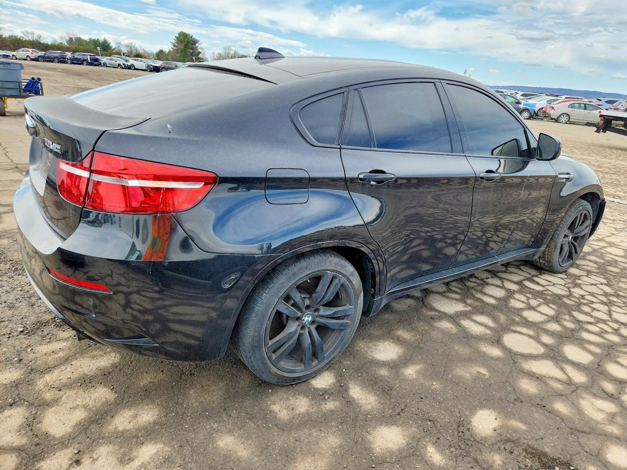 2013 BMW X6 M - Фото 3