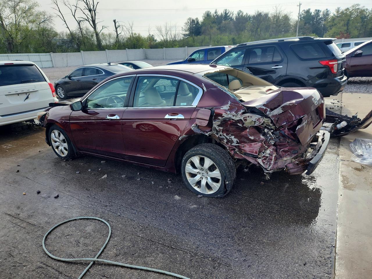 2008 Honda Accord Exl - Фото 2