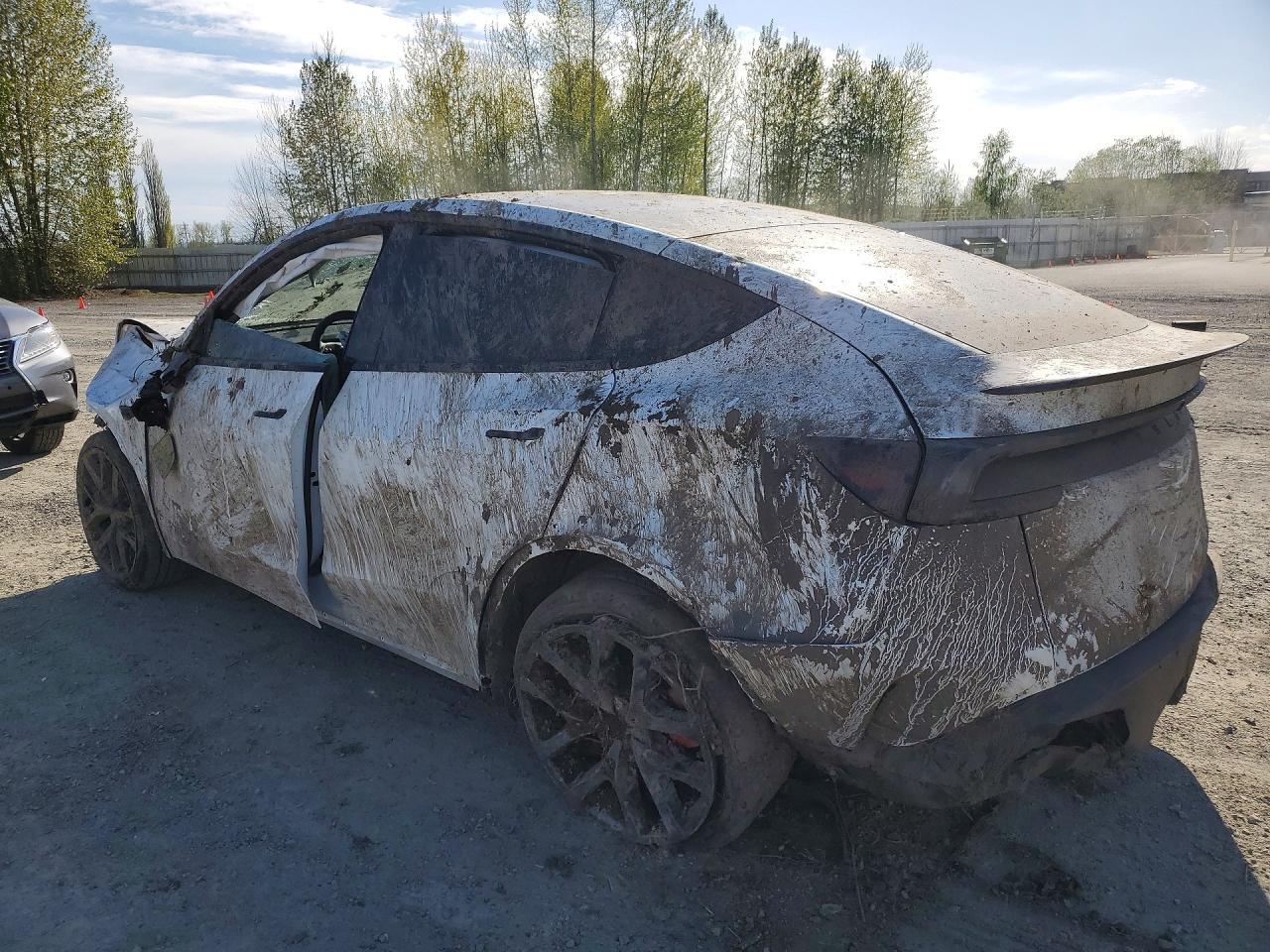 2026 Tesla Model Y - Image 2