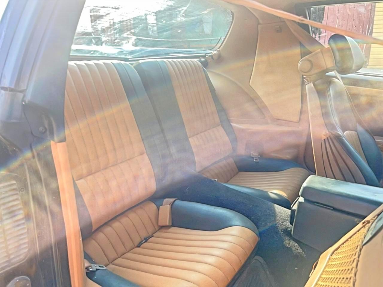 1988 Pontiac Firebird Trans Am - Фото 6