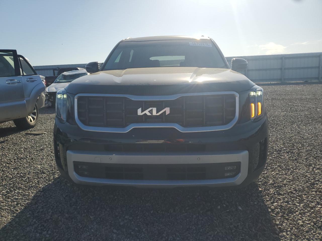 2024 Kia Telluride Sx - Фото 5