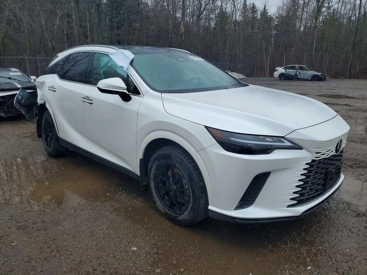 2025 Lexus Rx 350H Base - Фото 4