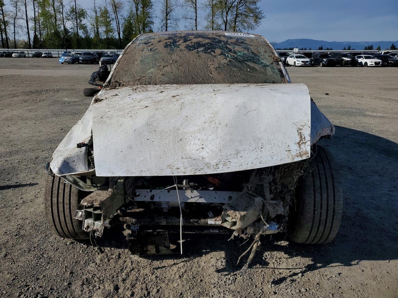 2026 Tesla Model Y - Image 5