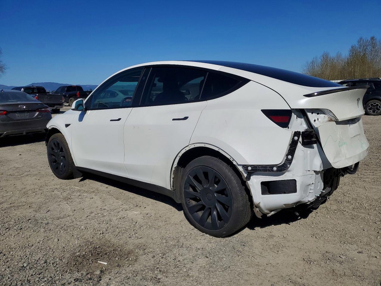 2024 Tesla Model Y - Фото 2