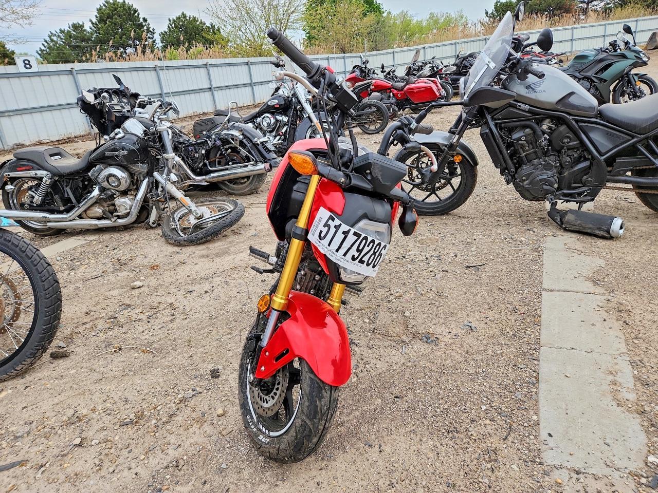 2025 Honda Grom 125 - Image 2