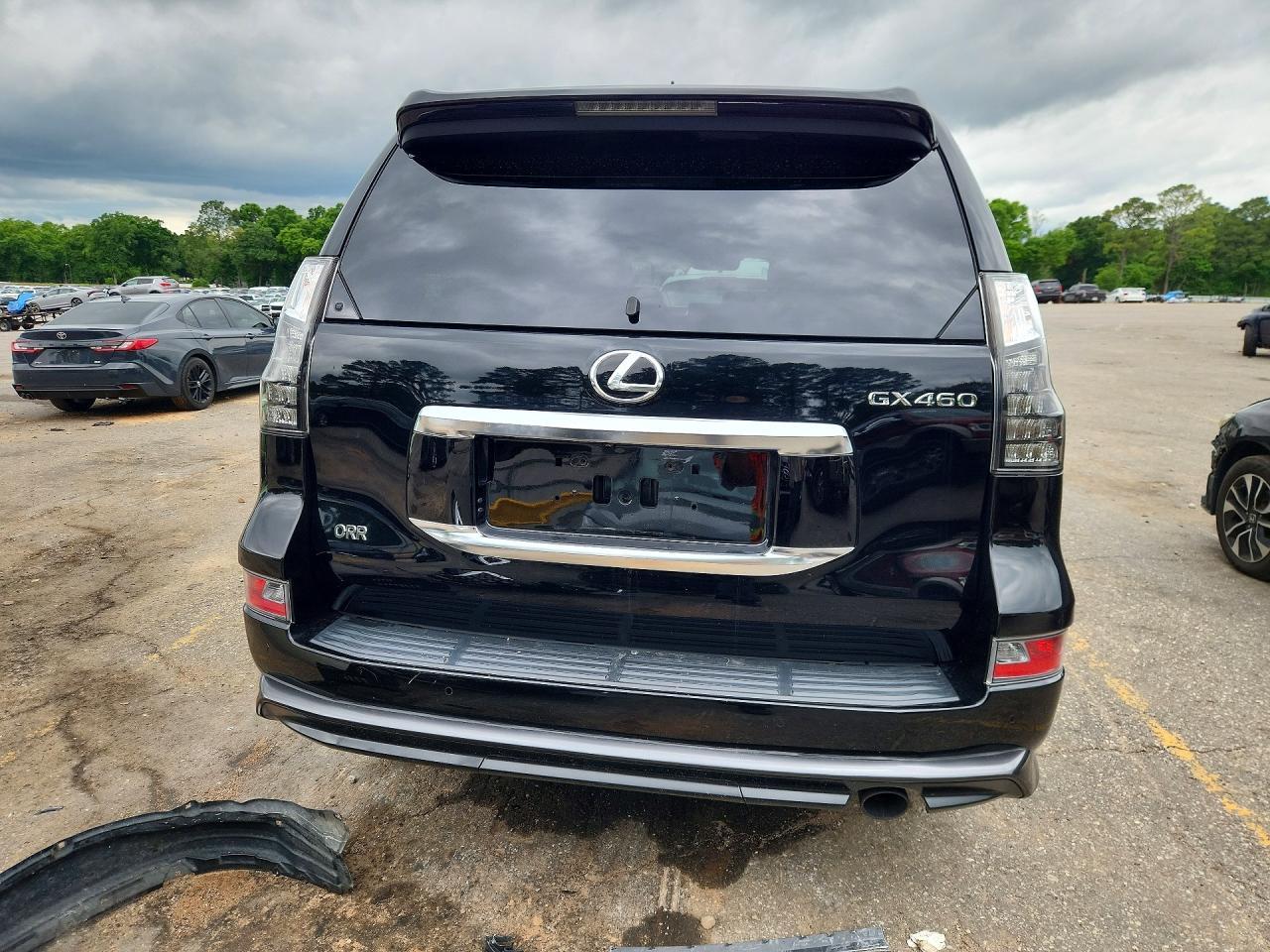 2019 Lexus Cx460 460 Luxury - Image 6
