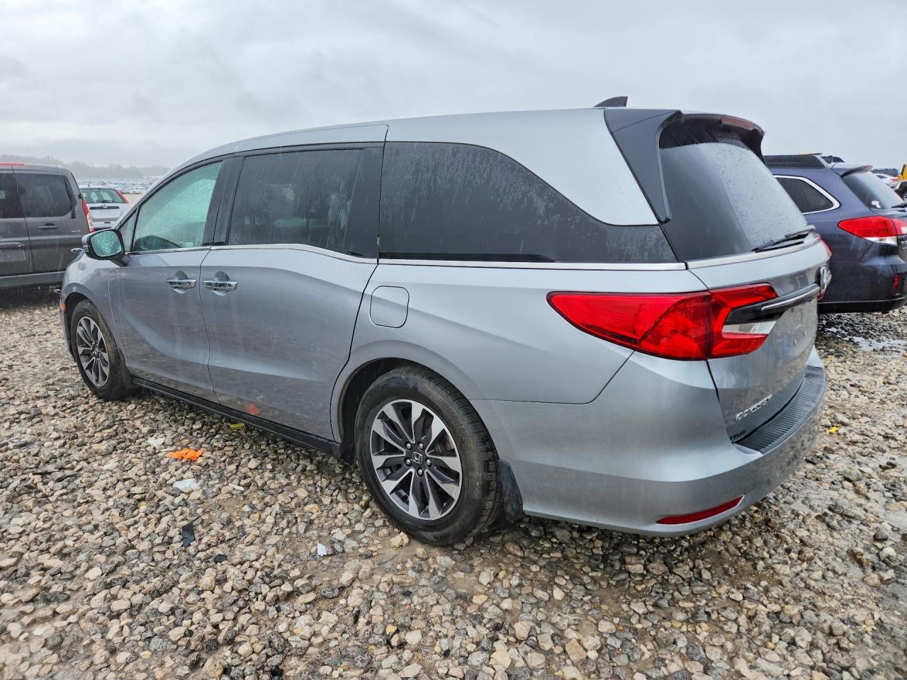2024 Honda Odyssey Exl - Фото 2