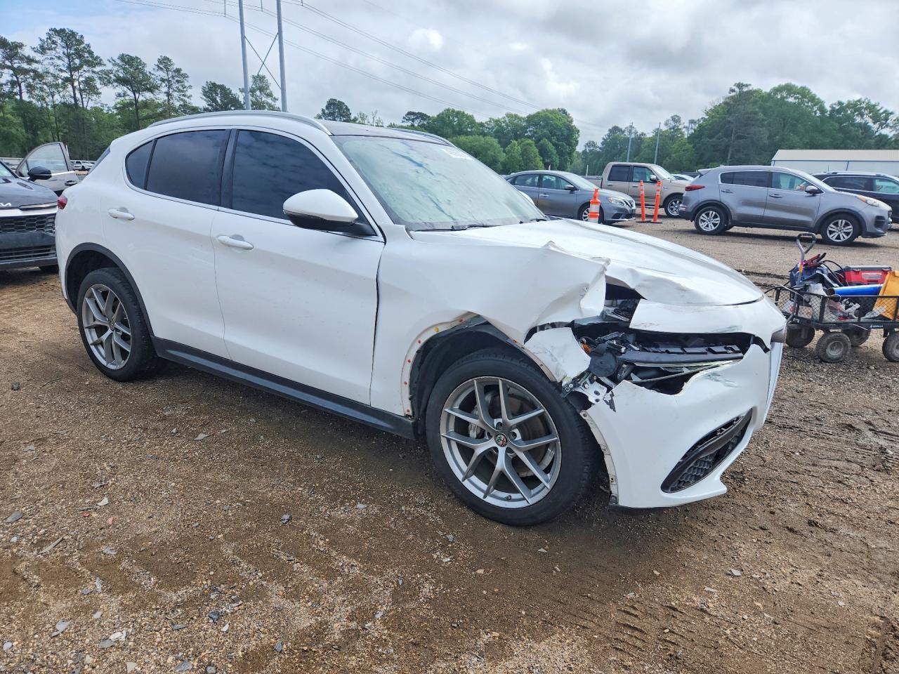 2018 Alfa Romeo Stelvio - Фото 4