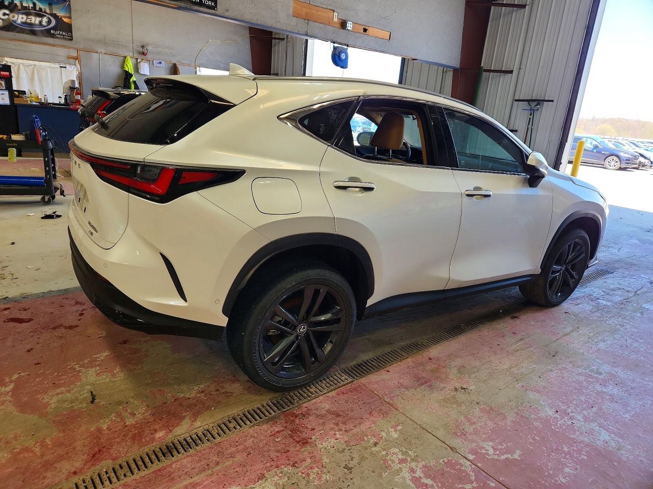 2025 Lexus Nx 450H Luxury - Image 3