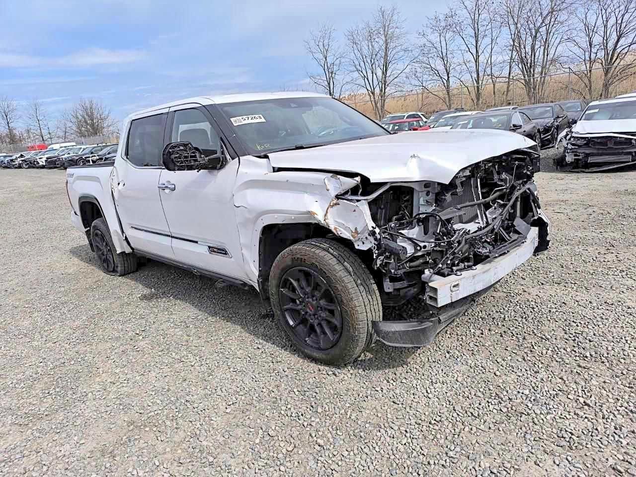 2025 Toyota Tundra 1794 Edition - Фото 3