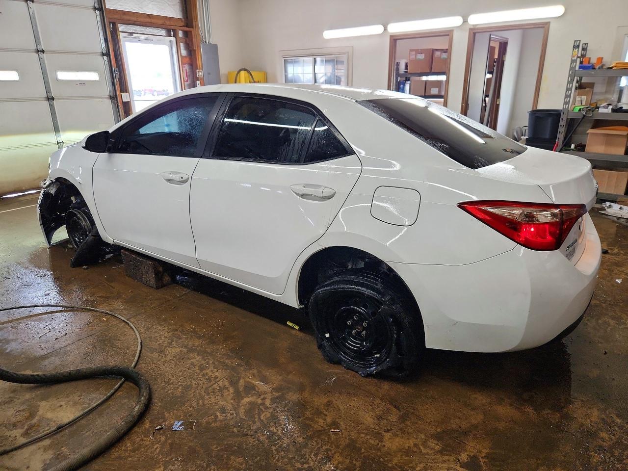 2019 Toyota Corolla L - Фото 2