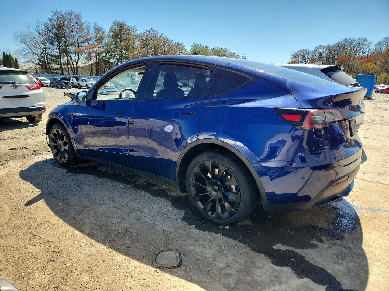 2023 Tesla Model Y - Фото 2