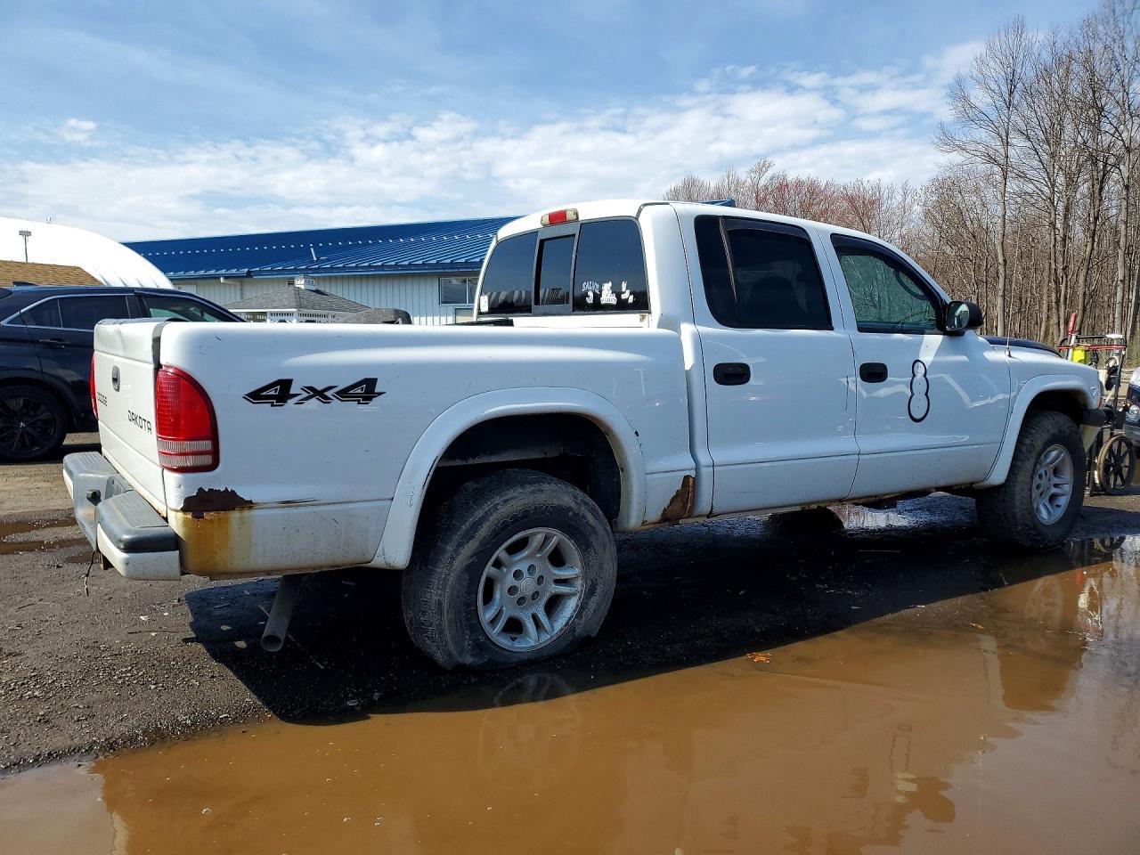 2004 Dodge Dakota Quad Sport - Image 3
