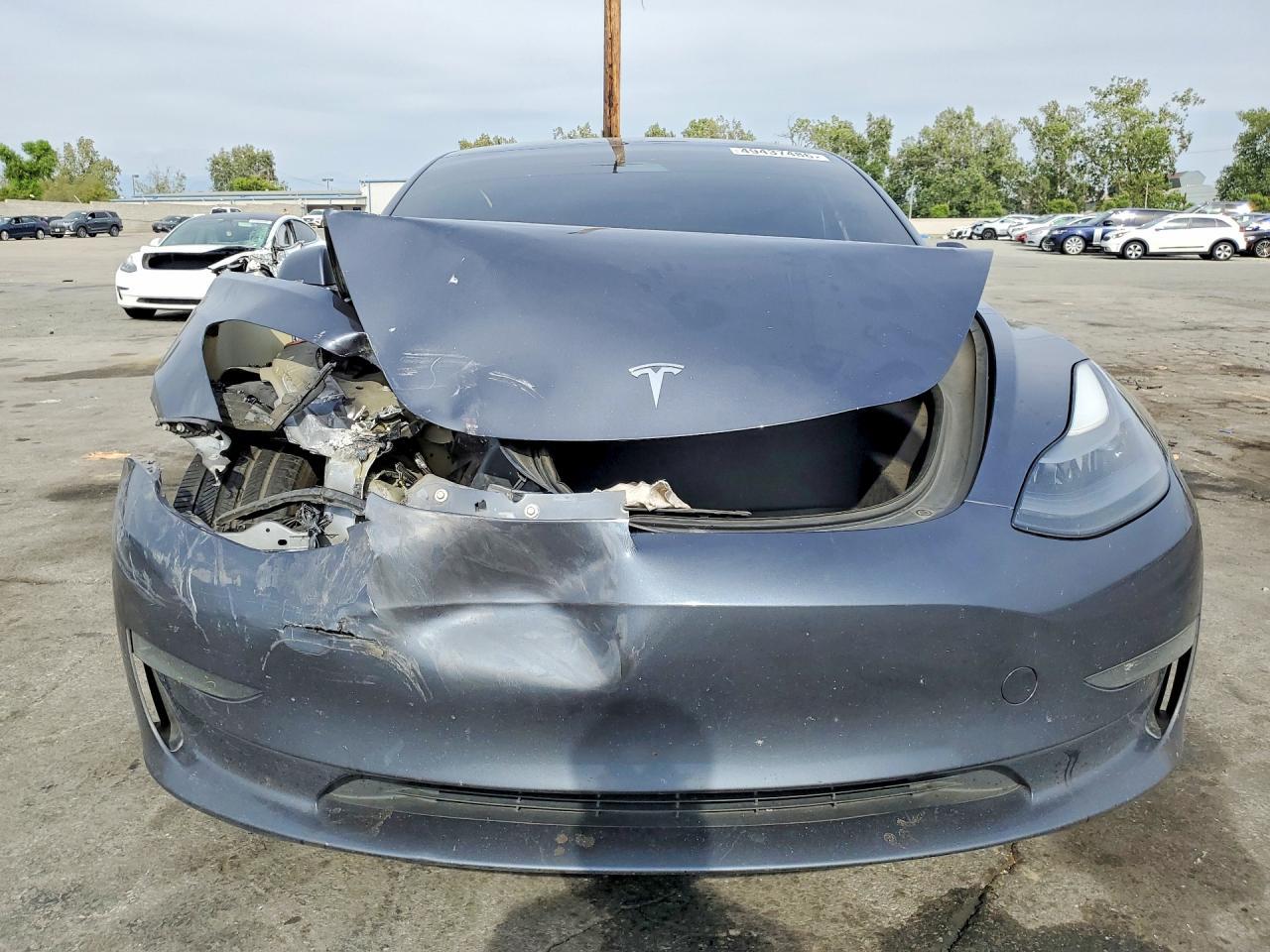 2023 Tesla Model 3 - Фото 5